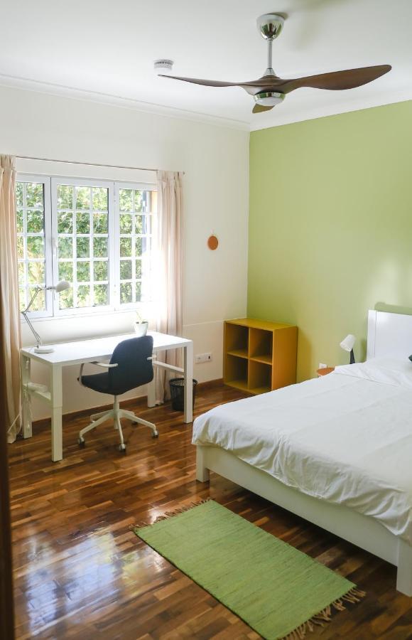 Lava Acores Coliving & Coworking Рибейра-Гранди Экстерьер фото