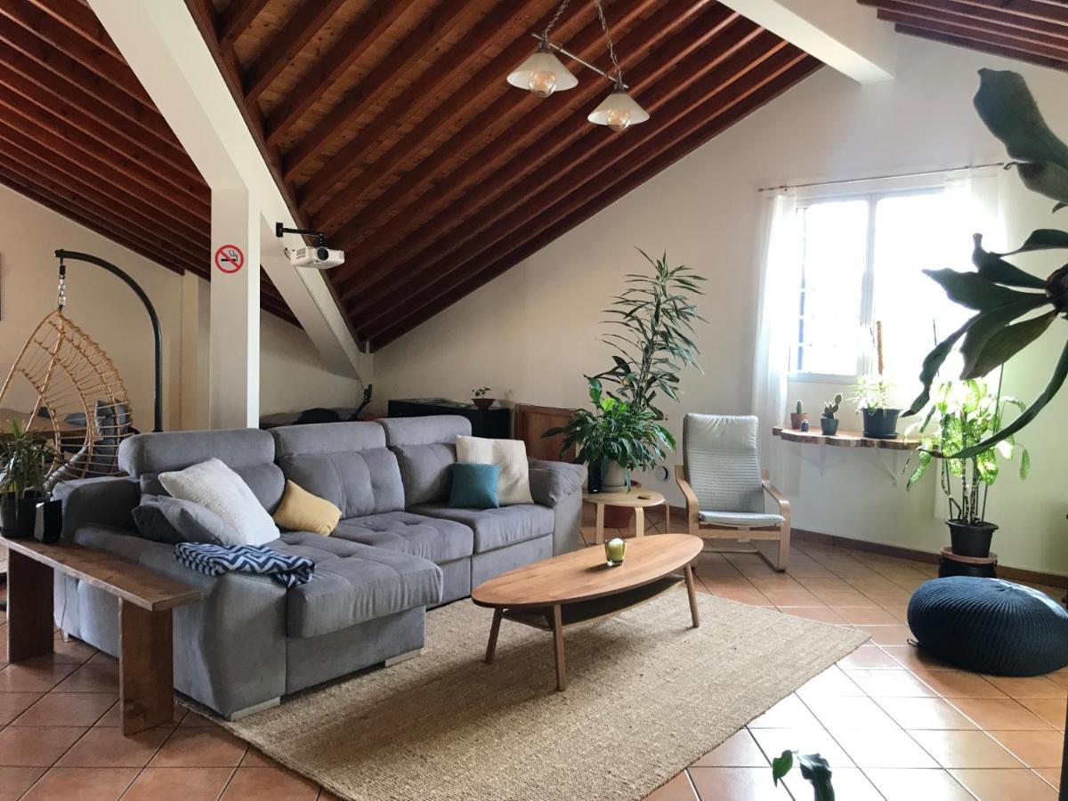 Lava Acores Coliving & Coworking Рибейра-Гранди Экстерьер фото