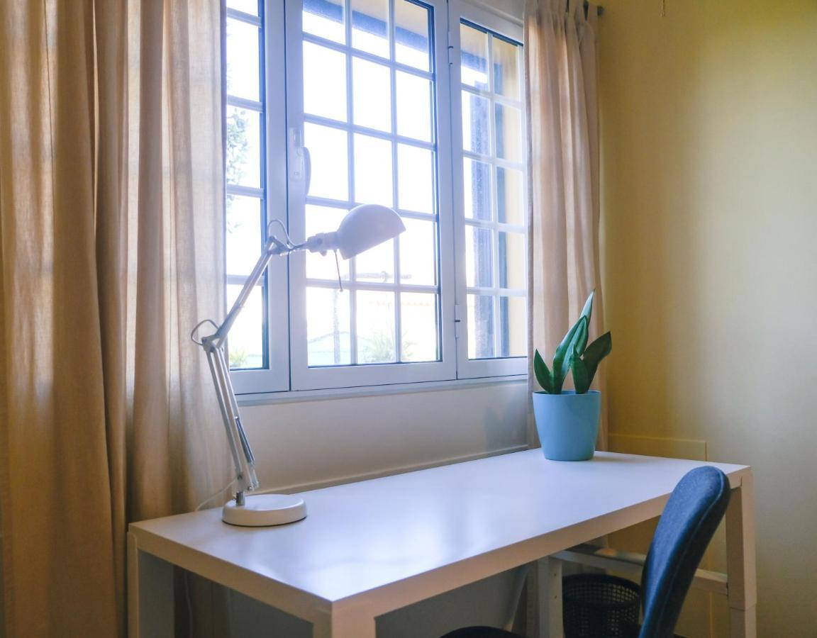 Lava Acores Coliving & Coworking Рибейра-Гранди Экстерьер фото