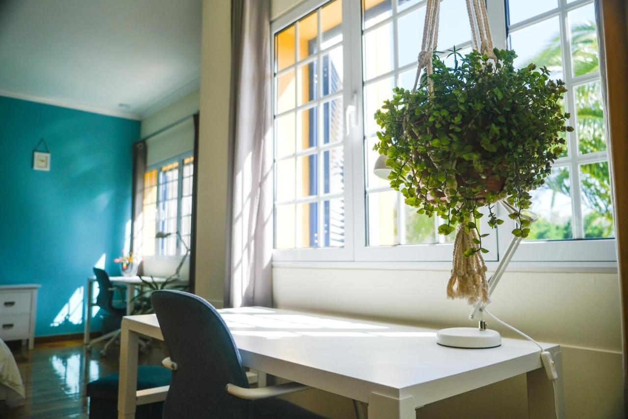 Lava Acores Coliving & Coworking Рибейра-Гранди Экстерьер фото